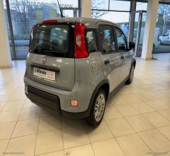 Auto - Fiat panda 1.0 firefly s&s hybrid city life