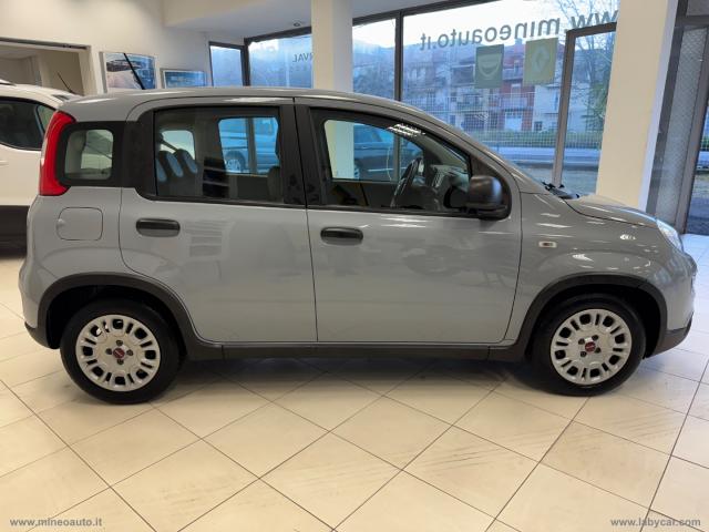 Auto - Fiat panda 1.0 firefly s&s hybrid city life