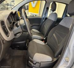 Auto - Fiat panda 1.0 firefly s&s hybrid city life