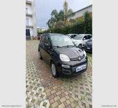 Auto - Fiat panda 1.2 easypower lounge