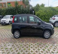Auto - Fiat panda 1.2 easypower lounge