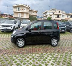 Auto - Fiat panda 1.2 easypower lounge
