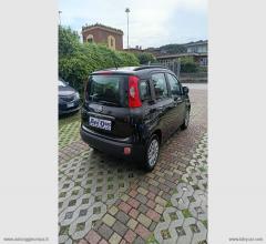 Auto - Fiat panda 1.2 easypower lounge