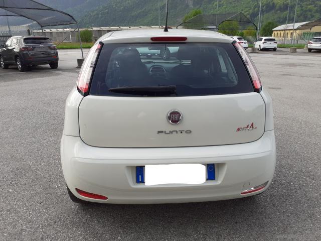 Auto - Fiat punto 1.3 mjt ii 75 cv 5p. street