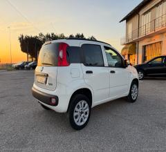 Auto - Fiat panda 0.9 t.air turbo n.pow.active van 2pti