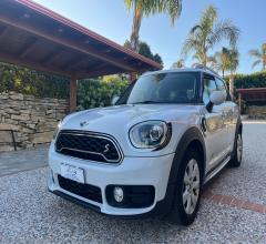 Mini mini cooper se countryman all4 aut.