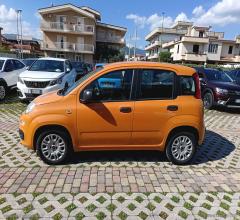 Auto - Fiat panda 1.2 easy