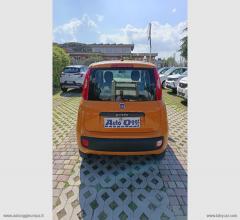 Auto - Fiat panda 1.2 easy