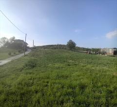 Appartamenti in Vendita - Terreno edificabile in vendita a alanno centro