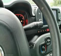 Auto - Fiat panda 1.0 firefly s&s hybrid city cross