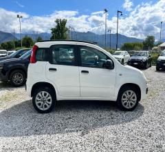 Auto - Fiat panda 0.9 twinair turbo nat. power easy