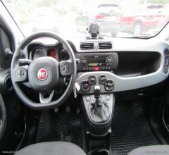 Auto - Fiat panda 1.0 firefly s&s hybrid