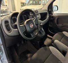 Auto - Fiat panda 1.0 firefly s&s hybrid