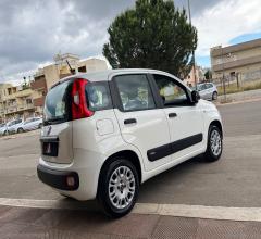Auto - Fiat panda 1.2 lounge