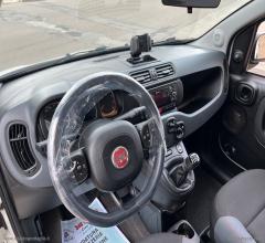 Auto - Fiat panda 1.2 lounge