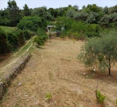 Appartamenti in Vendita - Casale in vendita a tissi periferia