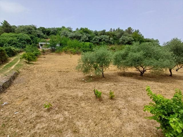 Appartamenti in Vendita - Casale in vendita a tissi periferia