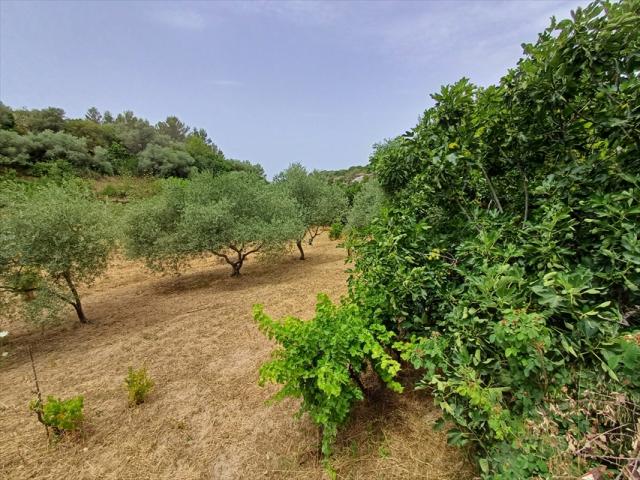 Appartamenti in Vendita - Casale in vendita a tissi periferia