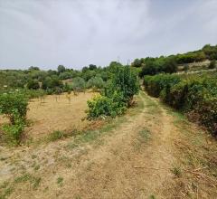 Appartamenti in Vendita - Casale in vendita a tissi periferia
