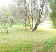 Appartamenti in Vendita - Casa indipendente in vendita a sassari bancali