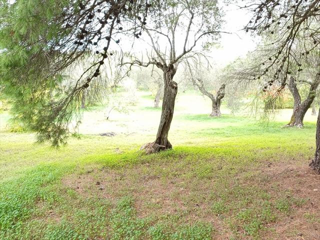 Appartamenti in Vendita - Casa indipendente in vendita a sassari bancali