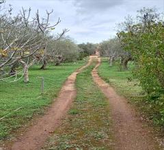 Appartamenti in Vendita - Casa indipendente in vendita a sassari bancali