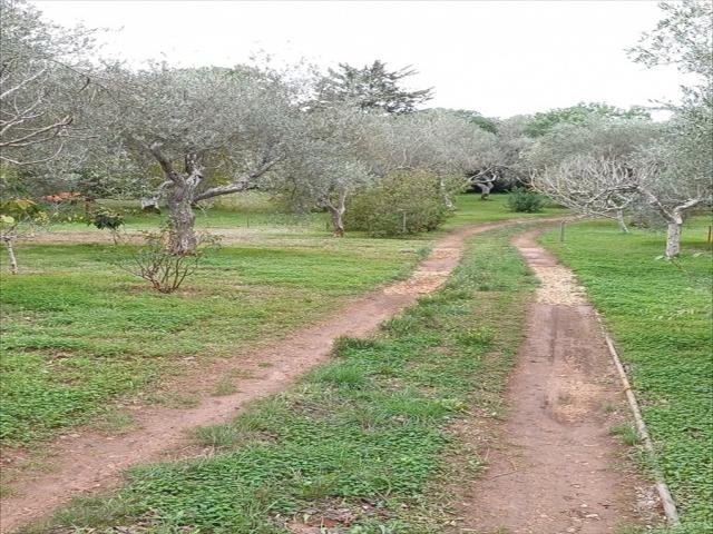 Appartamenti in Vendita - Casa indipendente in vendita a sassari bancali