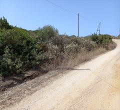 Appartamenti in Vendita - Terreno agricolo in vendita a sassari biancareddu