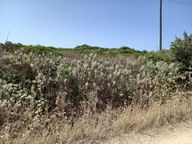 Appartamenti in Vendita - Terreno agricolo in vendita a sassari biancareddu