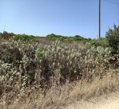 Appartamenti in Vendita - Terreno agricolo in vendita a sassari biancareddu