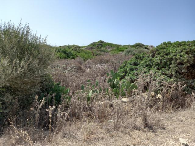 Appartamenti in Vendita - Terreno agricolo in vendita a sassari biancareddu
