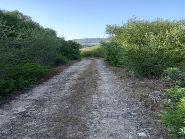 Terreno agricolo in vendita a sorso periferia