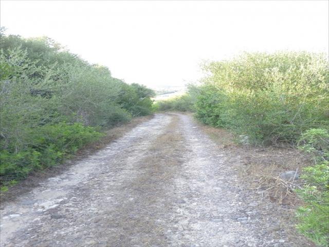 Appartamenti in Vendita - Terreno agricolo in vendita a sorso periferia