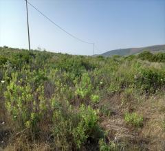 Appartamenti in Vendita - Terreno agricolo in vendita a sorso periferia