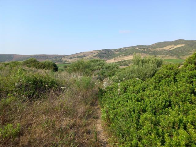 Appartamenti in Vendita - Terreno agricolo in vendita a sorso periferia