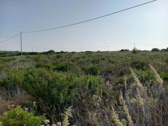 Appartamenti in Vendita - Terreno agricolo in vendita a sorso periferia