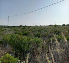 Appartamenti in Vendita - Terreno agricolo in vendita a sorso periferia