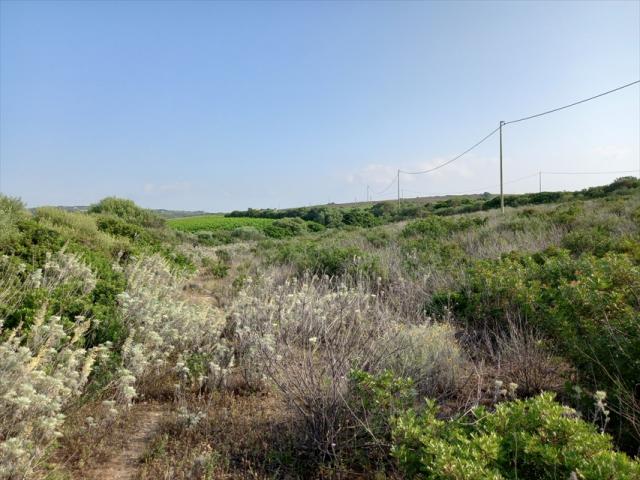 Appartamenti in Vendita - Terreno agricolo in vendita a sorso periferia