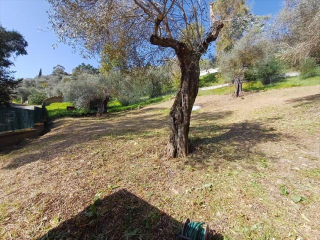 Appartamenti in Vendita - Casa indipendente in affitto a sassari periferia