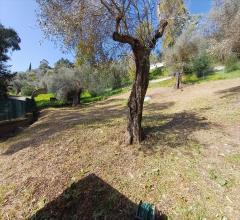 Appartamenti in Vendita - Casa indipendente in affitto a sassari periferia