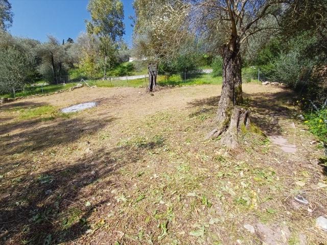 Appartamenti in Vendita - Casa indipendente in affitto a sassari periferia