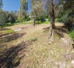 Appartamenti in Vendita - Casa indipendente in affitto a sassari periferia