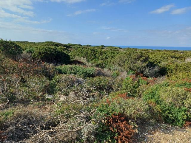 Appartamenti in Vendita - Terreno agricolo in vendita a stintino cala scoglietti "tanca di li baddi"