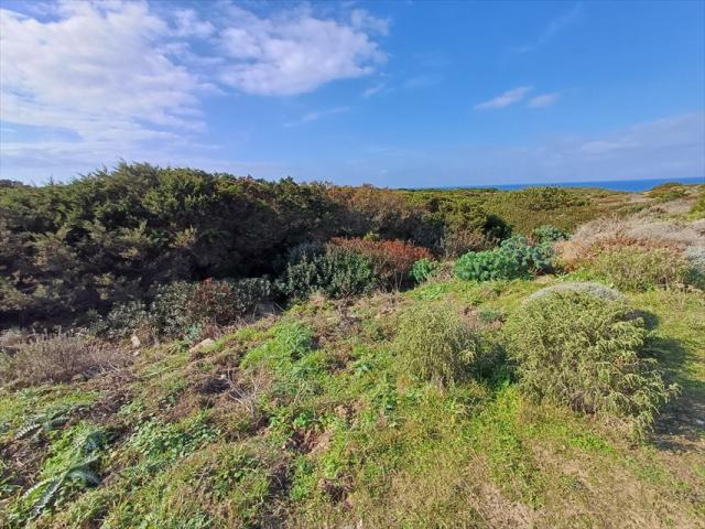 Appartamenti in Vendita - Terreno agricolo in vendita a stintino cala scoglietti "tanca di li baddi"