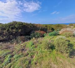 Appartamenti in Vendita - Terreno agricolo in vendita a stintino cala scoglietti "tanca di li baddi"
