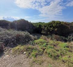 Appartamenti in Vendita - Terreno agricolo in vendita a stintino cala scoglietti "tanca di li baddi"