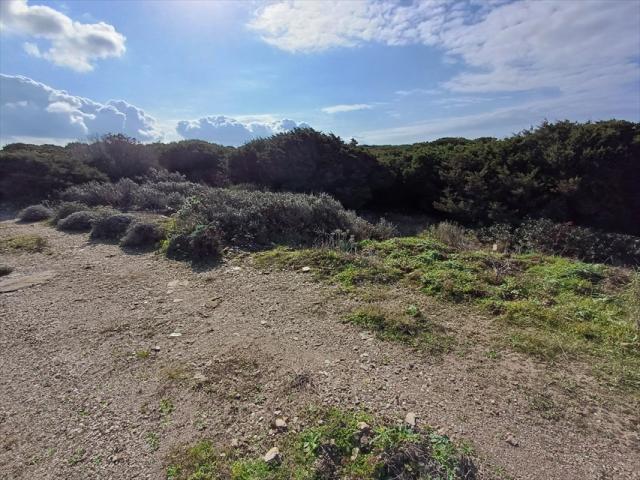 Appartamenti in Vendita - Terreno agricolo in vendita a stintino cala scoglietti "tanca di li baddi"