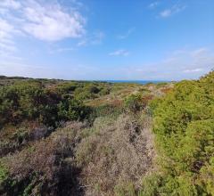 Appartamenti in Vendita - Terreno agricolo in vendita a stintino cala scoglietti "tanca di li baddi"