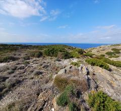 Appartamenti in Vendita - Terreno agricolo in vendita a stintino periferia
