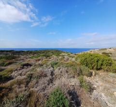 Appartamenti in Vendita - Terreno agricolo in vendita a stintino periferia